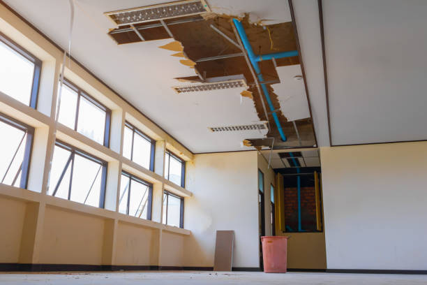 Best Ceiling water damage repair  in Maple Heights, OH