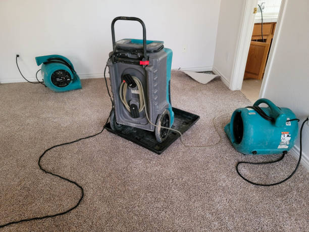 Best Flood damage cleanup  in Maple Heights, OH