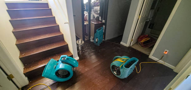 Best Water damage restoration near me  in Maple Heights, OH
