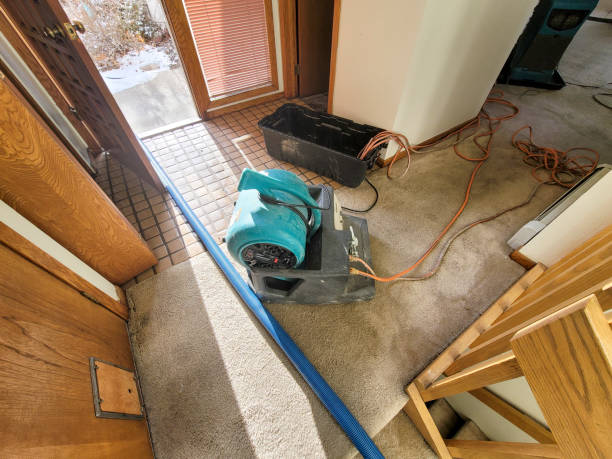 Best Mold removal after water damage  in Maple Heights, OH