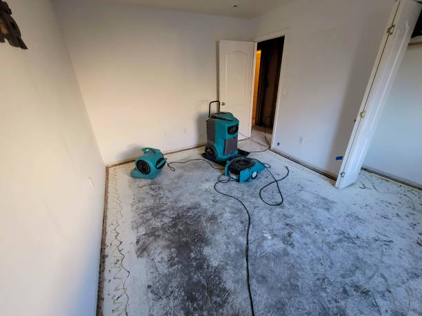 Sewage cleanup and water damage restoration in Maple Heights, OH
