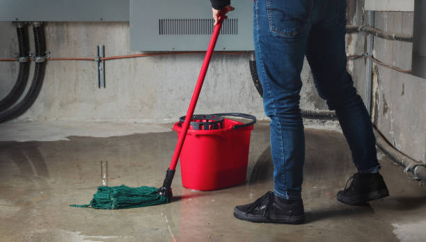 Best Water damage contractors near me  in Maple Heights, OH