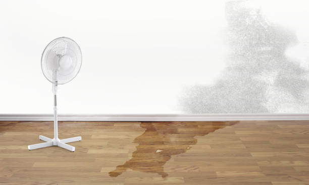 Trusted Maple Heights, OH Water damage restoration Experts