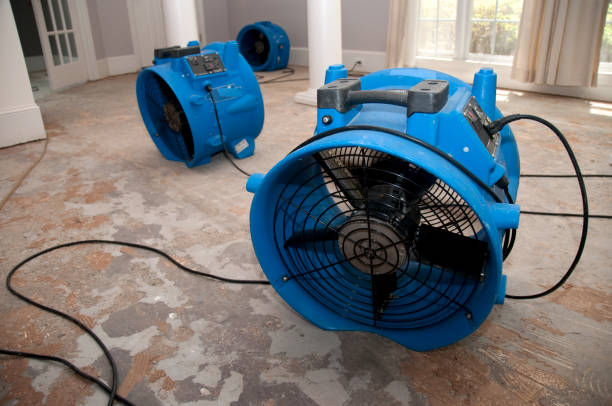 Best Flood damage cleanup  in Maple Heights, OH