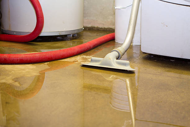 Best Water damage restoration services  in Maple Heights, OH