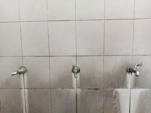  Maple Heights, OH Water damage restoration Pros