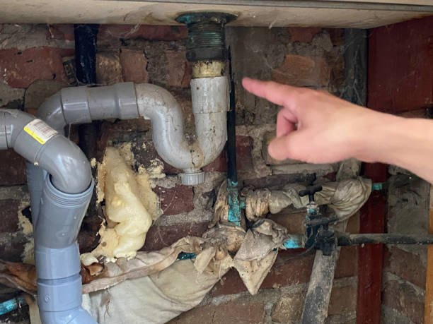 Best Flooded house restoration  in Maple Heights, OH