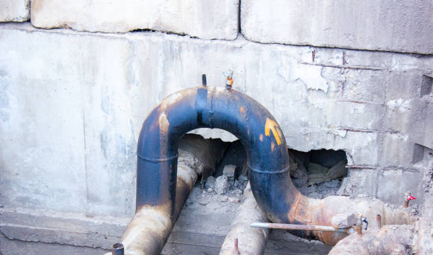 Best Water damage restoration cost  in Maple Heights, OH