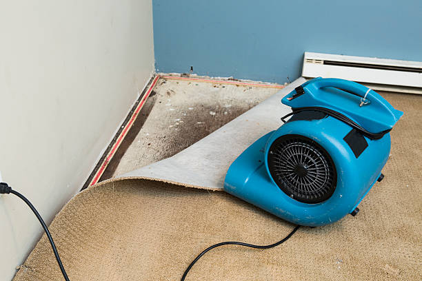 Local water damage restoration in Maple Heights, OH